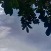 c0ntr3st_corr