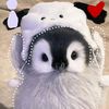 anoosha1387