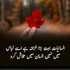 umer.raza24