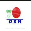 .dxn8623