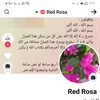 red.rosa33