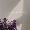 asraa.alarafy
