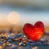 masoorahmad12