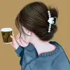 dastine23