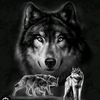alexwd73