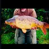 juicy_pineapple_popup