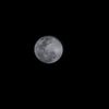 mrs_moon91