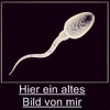 seelenkristall