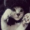 teyaa