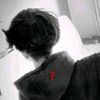 mrkoya80