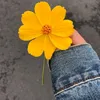 zxcvbnm67371