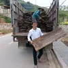trai.ni21vanlopmai