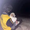 sunnysicoser