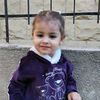 dalal_llll
