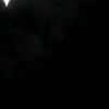 zz_osama9