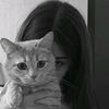 catalina_219