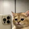 8tippek_neked8
