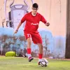 3to_ali