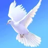 ftahalkfaji3