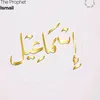 ismo_223