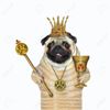 javier.rodrguez.t