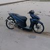 tamarafa123456