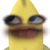 kaisgf7