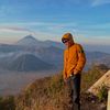 alvnardiansyah