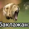 confuciy_tt