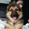 hey277403