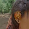 nishu___508