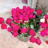user6050597858377
