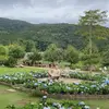 tranhungvilla