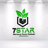 7starnursery