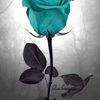 cancer_id8