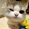duy.nguyen5353