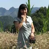 phng.lin359
