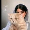 nourbenameur37