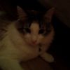 jozo_063