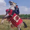 hassn.mola