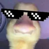 nikopuljic22
