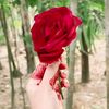 shati2792