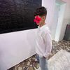 diar1366
