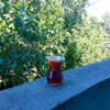 sadun_3447