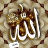 asma.12544