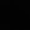 riza7rv