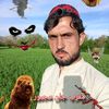 pcr_king.313