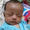 adlan3315