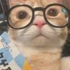 meowtherfalz