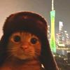 nikee.da.monke